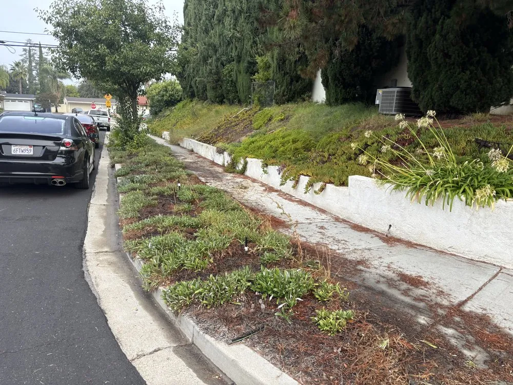 Custom lawn mowing service in Simi Valley, CA by Gueros Lawn Care Service