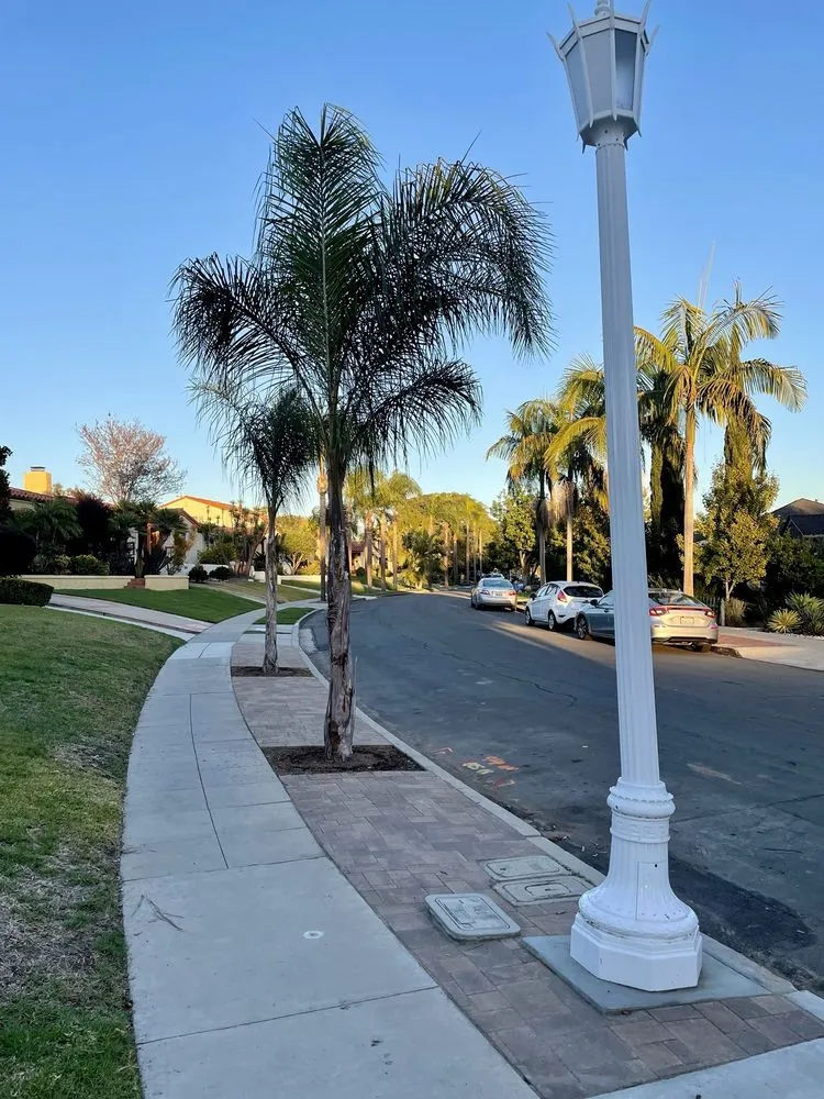 Affordable lawn care service in San Diego, CA - Guerra Concrete & Masonry