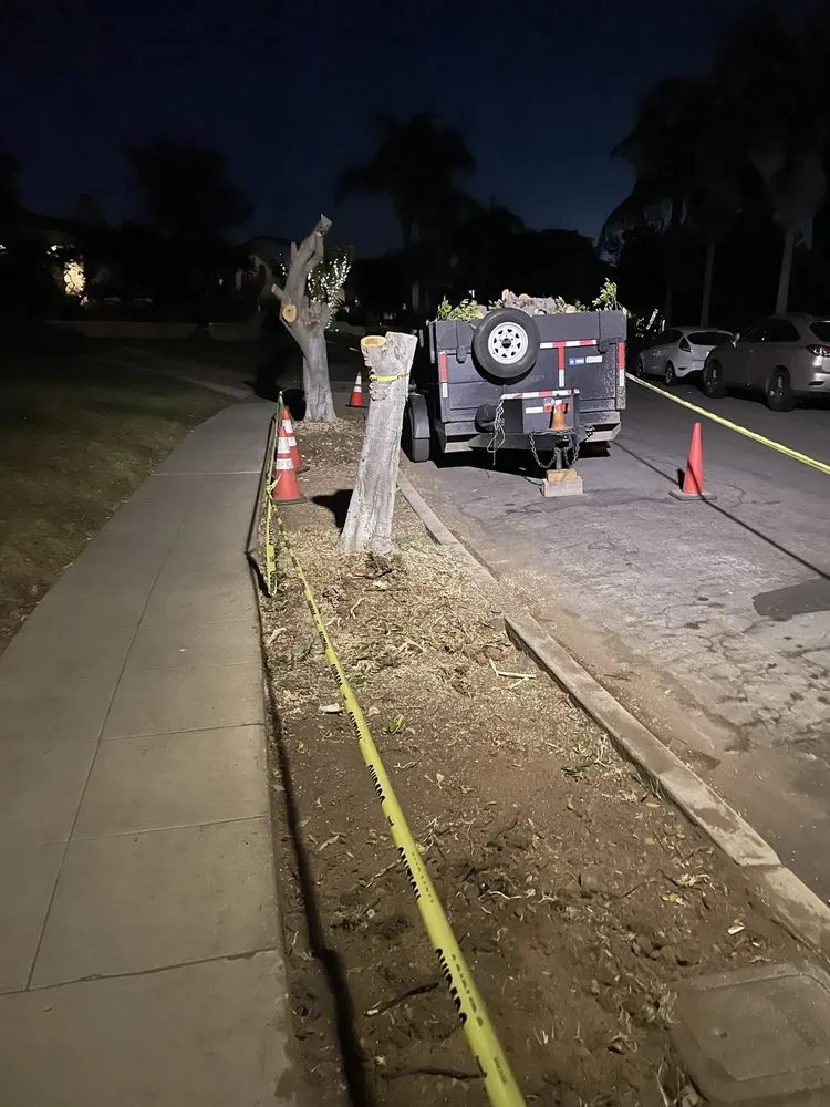 Affordable garden landscaping with custom design in San Diego, CA by Guerra Concrete & Masonry