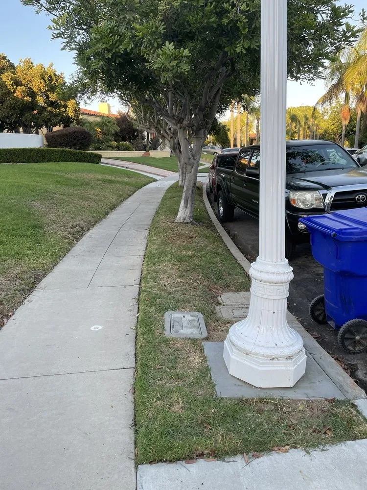 Custom landscape installation in San Diego, CA - Guerra Concrete & Masonry