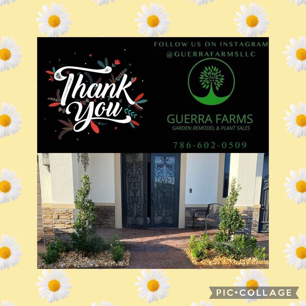 Trusted landscaping services in Miami, FL by Guerra Farms