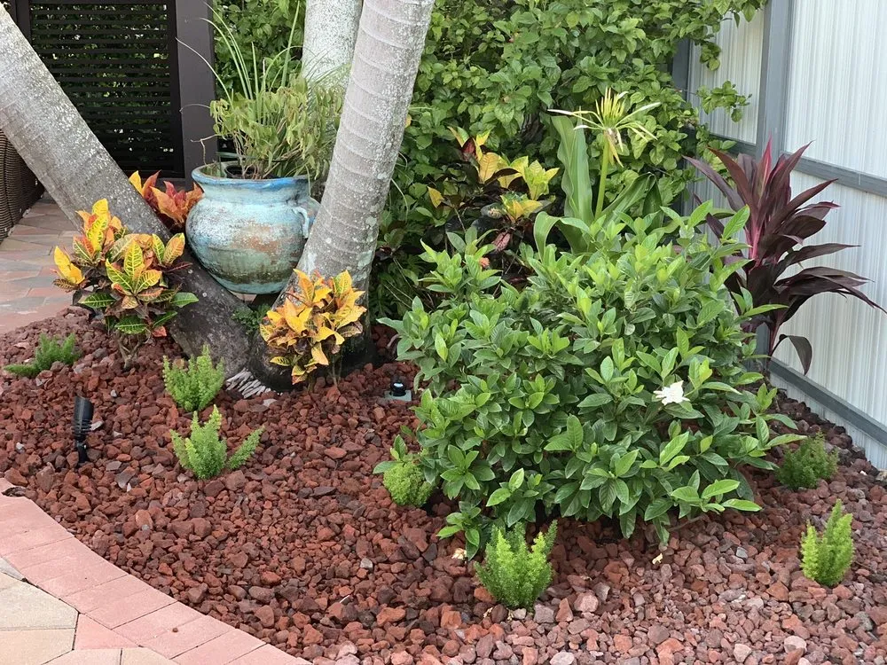 Reliable yard cleanup service experts serving Miami, FL - Guerra Farms