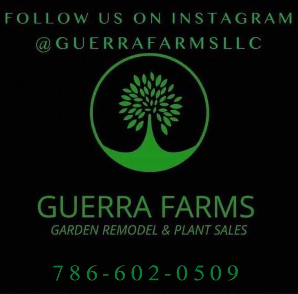 Top-rated residential landscaping with custom design across Miami, FL - Guerra Farms