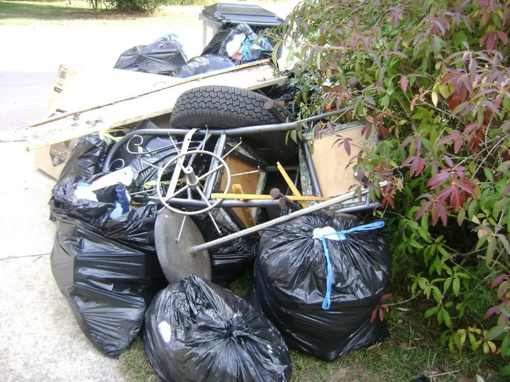 Trusted landscaping services in Laredo, TX - Guerra Junk Removal and Lawn Care