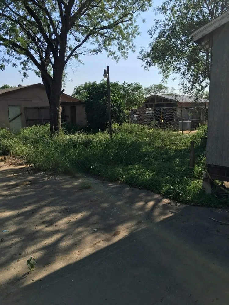 Expert landscape design in Laredo, TX - Guerra Junk Removal and Lawn Care