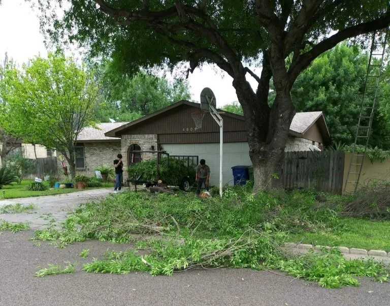 Affordable garden landscaping in Laredo, TX by Guerra Junk Removal and Lawn Care