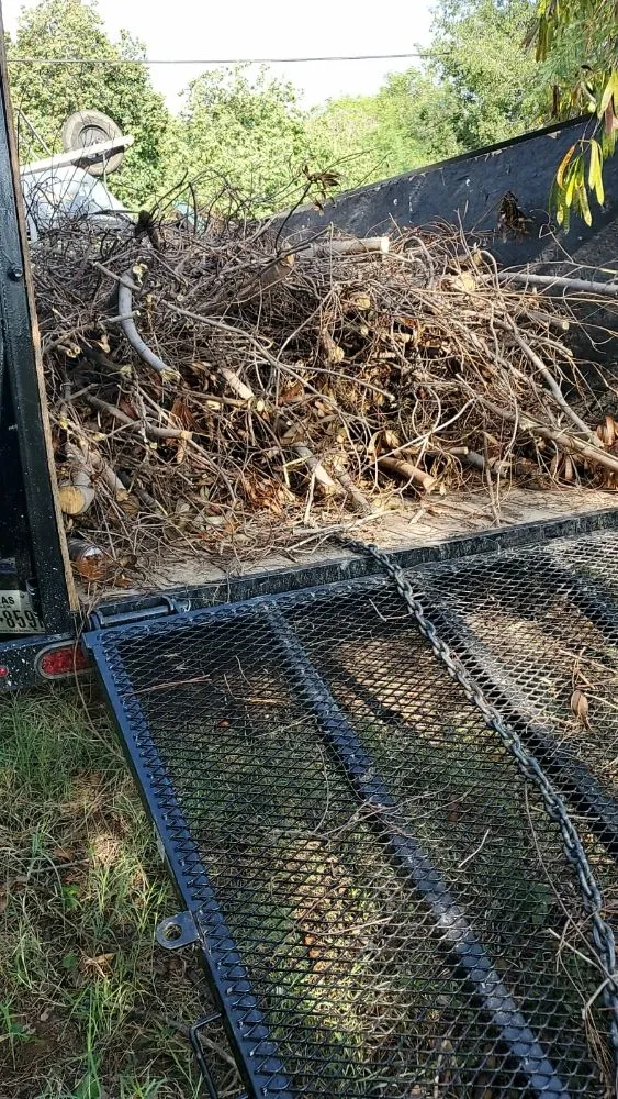 Custom garden landscaping experts serving Laredo, TX - Guerra Junk Removal and Lawn Care