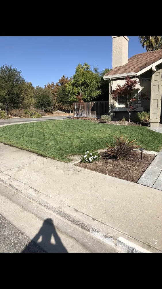 Reliable garden landscaping experts serving Modesto, CA - Guerras landscaping company