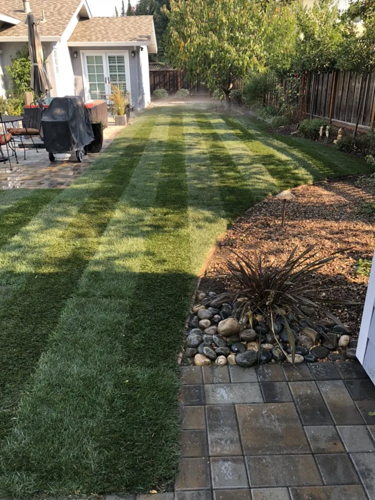 Expert landscape design in Modesto, CA - Guerras landscaping company