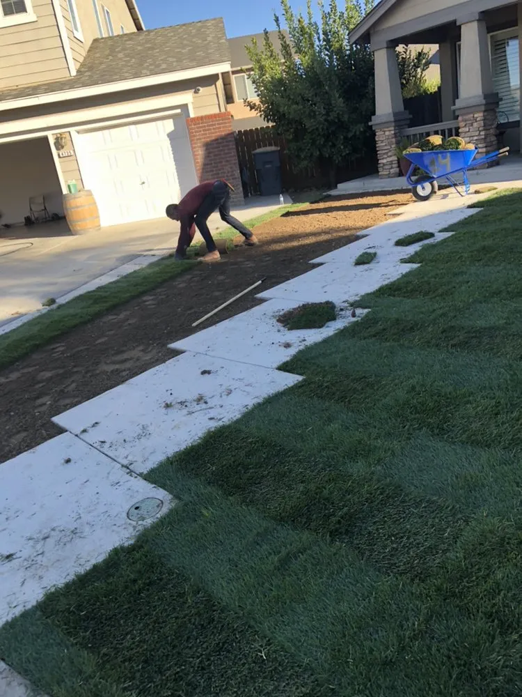 Top-rated outdoor landscaping for year-round maintenance in Modesto, CA by Guerras landscaping company