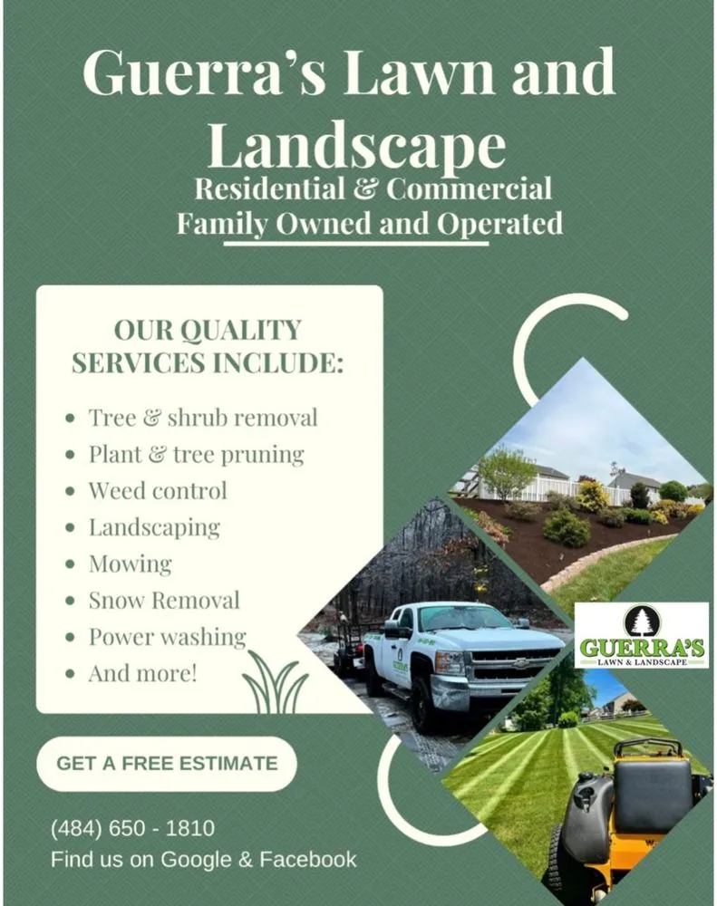 Expert yard cleanup service in Robesonia, PA by Guerra's Lawn and Landscape