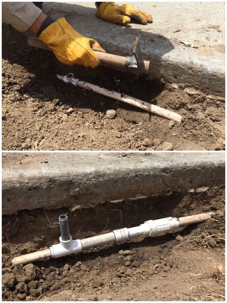 Expert residential landscaping experts serving Fremont, CA - Guerrero & Sons Landscaping