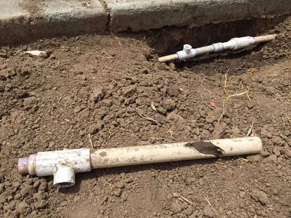 Reliable residential landscaping in Fremont, CA - Guerrero & Sons Landscaping