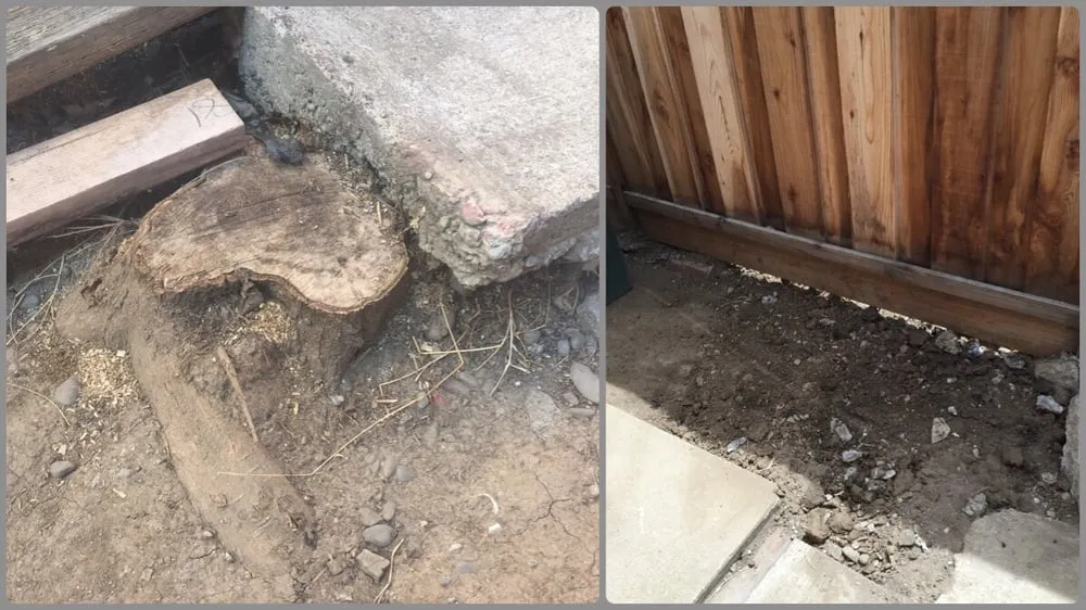 Custom landscape design in Fremont, CA by Guerrero & Sons Landscaping