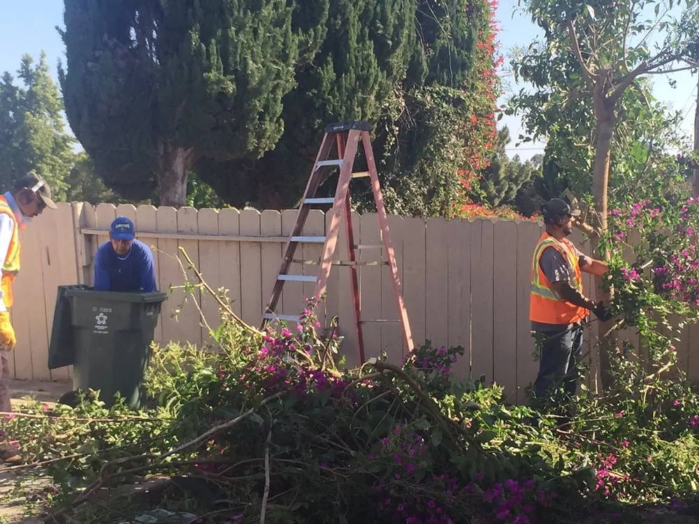 Top-rated yard maintenance experts serving Fremont, CA - Guerrero & Sons Landscaping