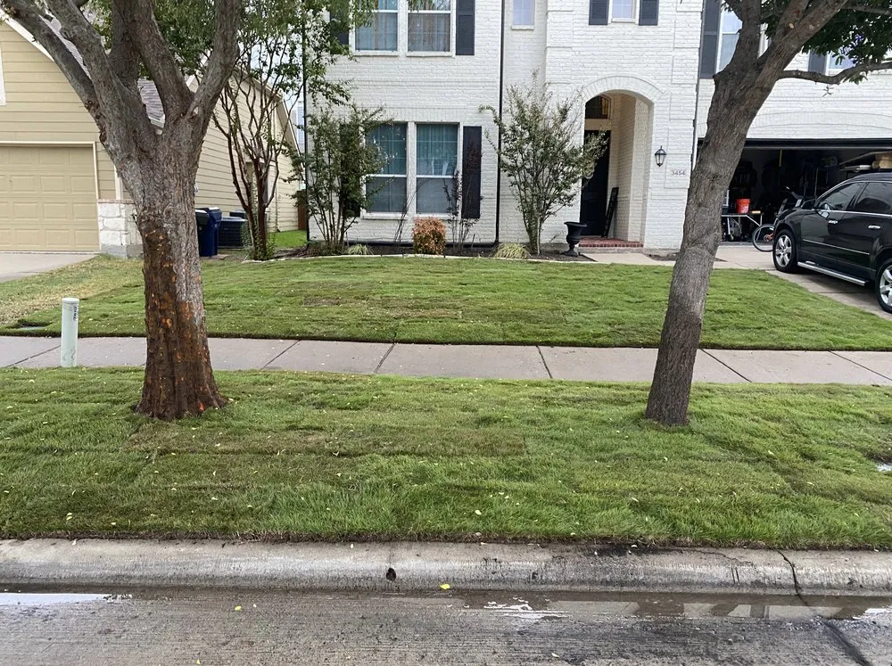 Reliable yard maintenance experts serving Dallas, TX - Guerrero Landscape