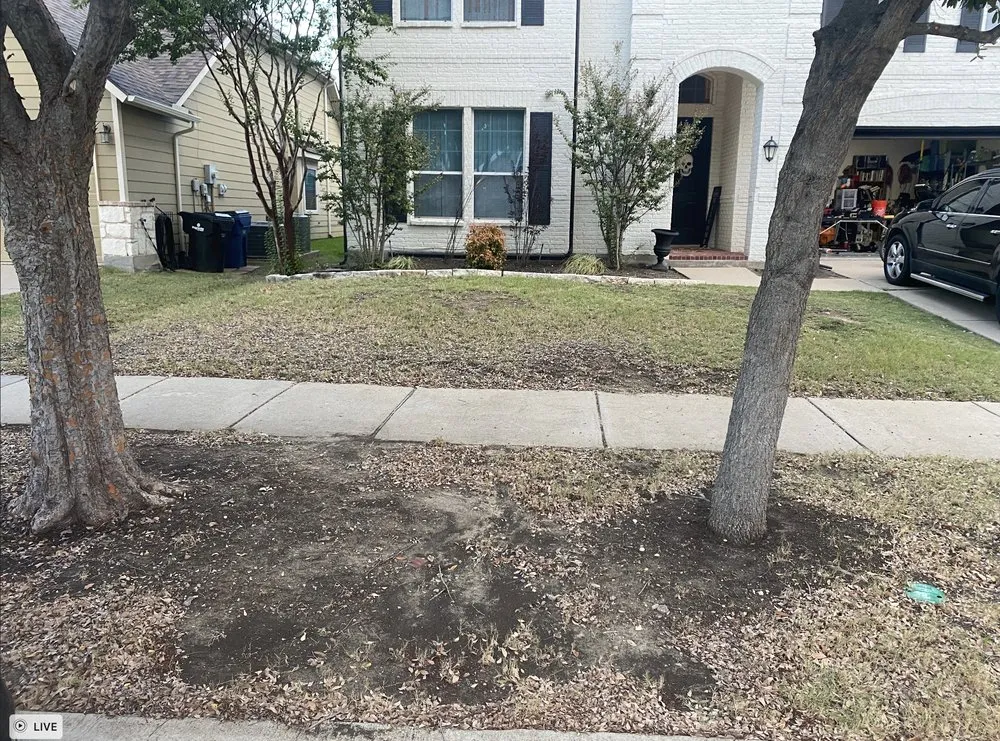 Local landscape design in Dallas, TX by Guerrero Landscape