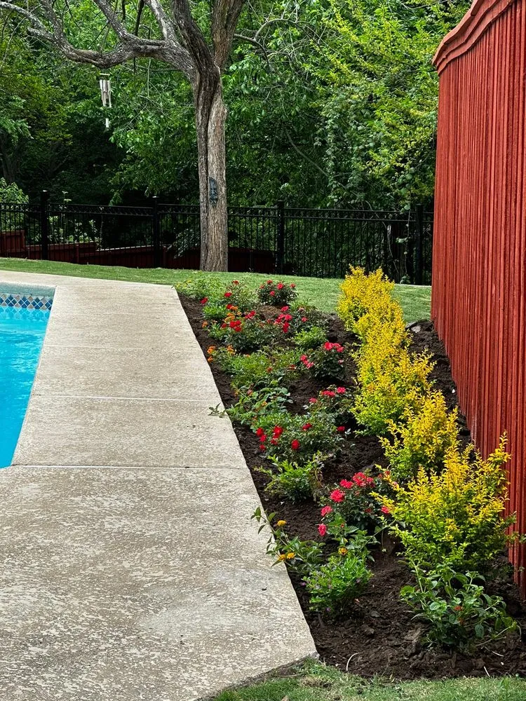 Professional yard cleanup service in Dallas, TX by Guerrero Landscape