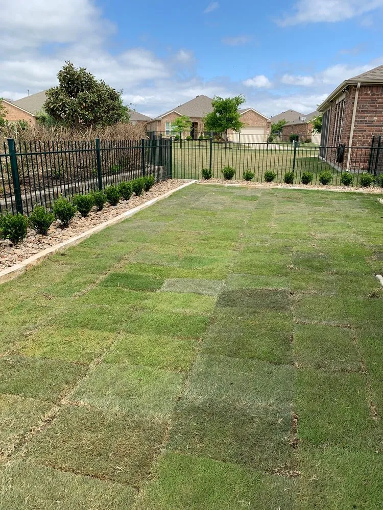 Expert lawn care service with custom design in Dallas, TX by Guerrero Landscape