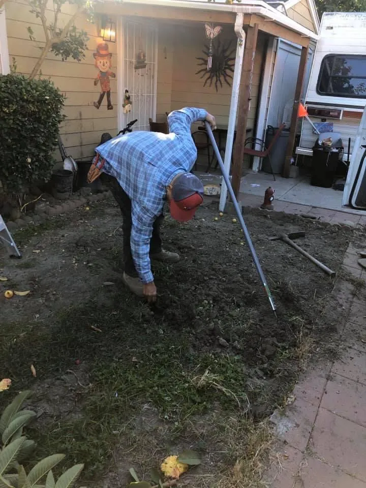 Reliable yard maintenance for year-round maintenance across Inglewood, CA - Guerrero Landscaping And Gardening Services