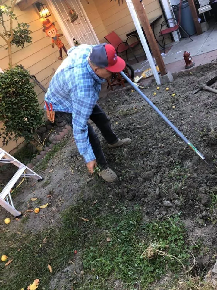 Top-rated landscaping services for outdoor upgrades in Inglewood, CA by Guerrero Landscaping And Gardening Services