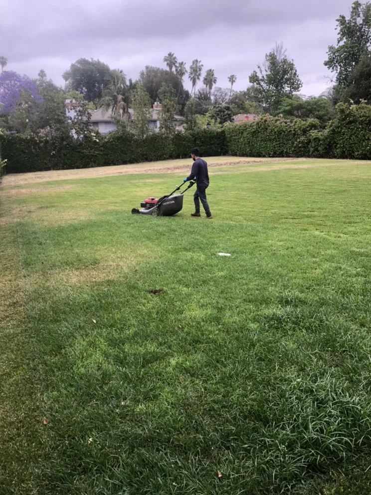 Expert lawn care service in Inglewood, CA by Guerrero Landscaping And Gardening Services