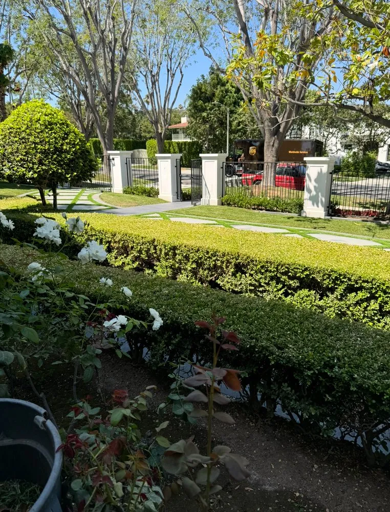 Custom yard cleanup service experts serving Inglewood, CA - Guerrero Landscaping And Gardening Services