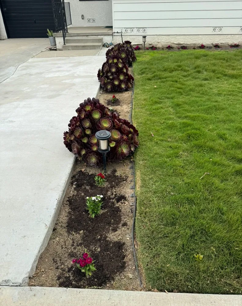 Reliable outdoor landscaping with custom design across Inglewood, CA - Guerrero Landscaping And Gardening Services