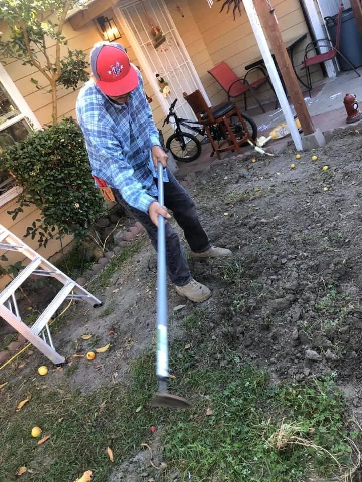 Reliable residential landscaping for year-round maintenance across Inglewood, CA - Guerrero Landscaping And Gardening Services
