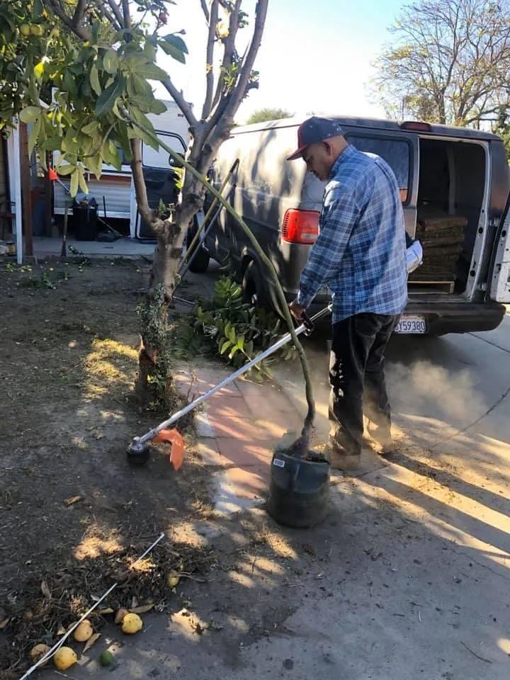 Local landscape design experts serving Inglewood, CA - Guerrero Landscaping And Gardening Services