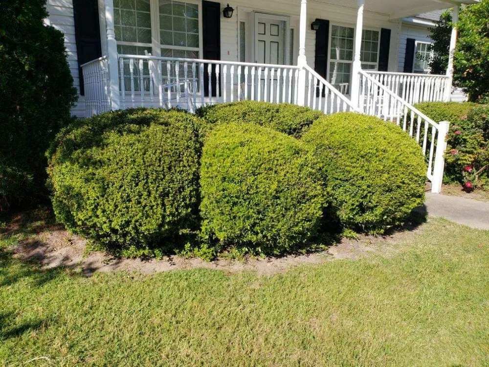 Expert lawn care service experts serving Goldsboro, NC - Guerrero Landscaping