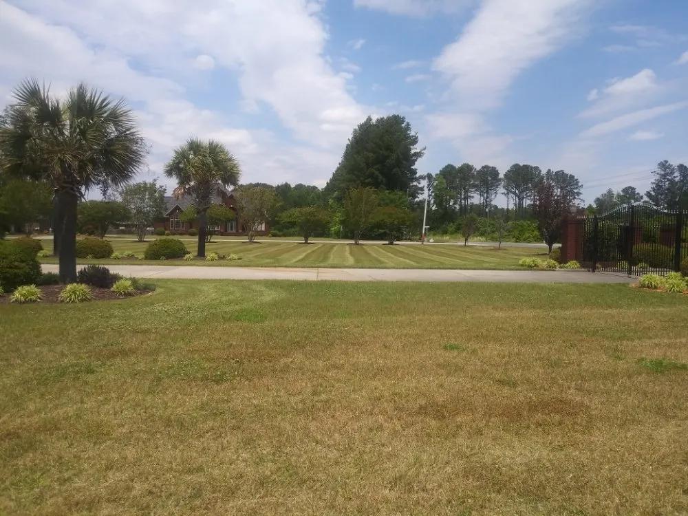 Affordable landscape installation with custom design across Goldsboro, NC - Guerrero Landscaping