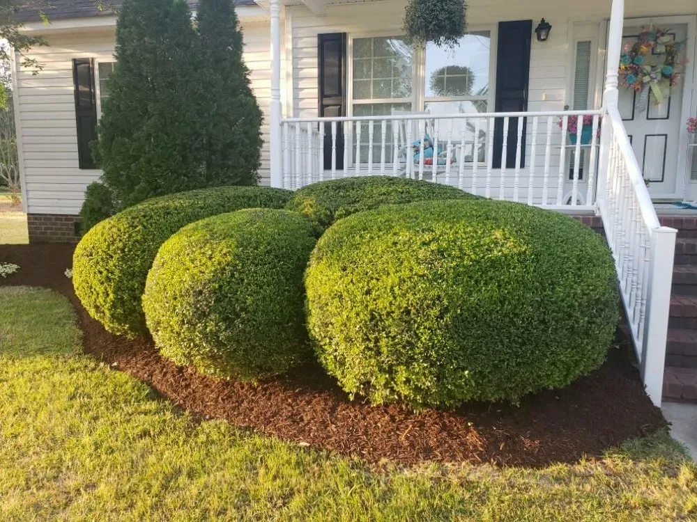 Custom residential landscaping for residential properties across Goldsboro, NC - Guerrero Landscaping