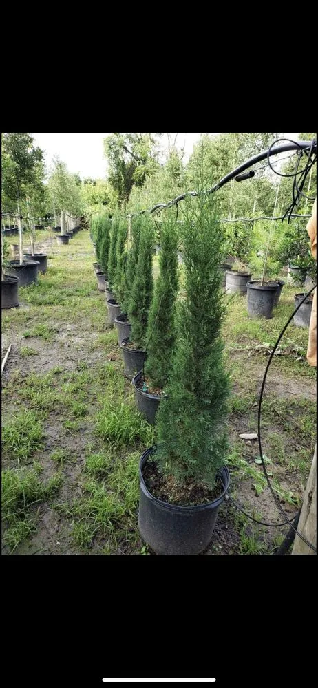 Affordable landscape design for beautiful yards in Humble, TX by Guerrero Landscaping