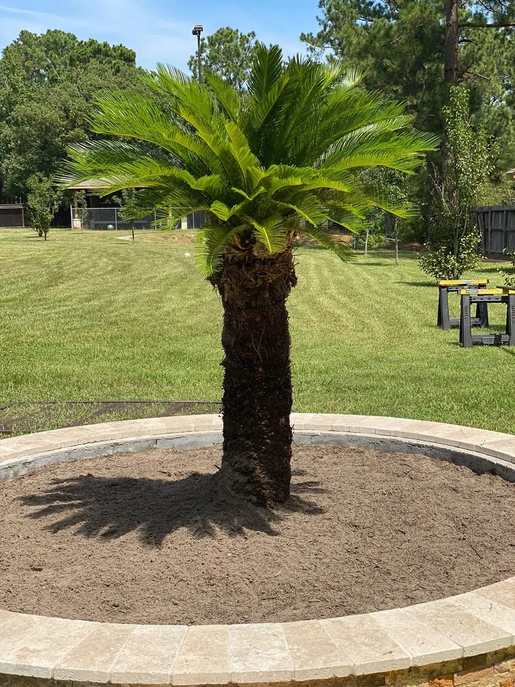 Affordable lawn care service experts serving Humble, TX - Guerrero Landscaping