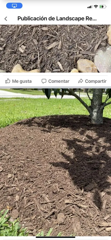 Top-rated yard cleanup service in Humble, TX by Guerrero Landscaping