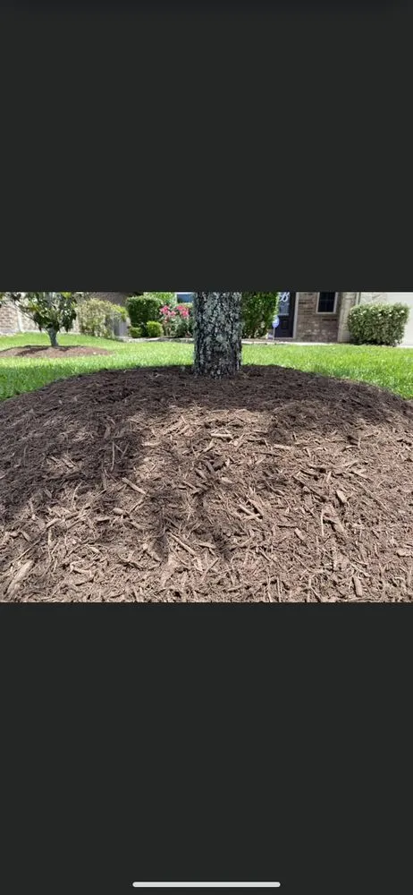 Expert yard cleanup service in Humble, TX by Guerrero Landscaping