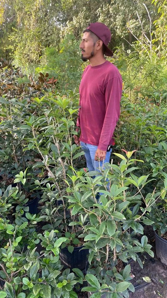 Top-rated yard maintenance in Humble, TX by Guerrero Landscaping