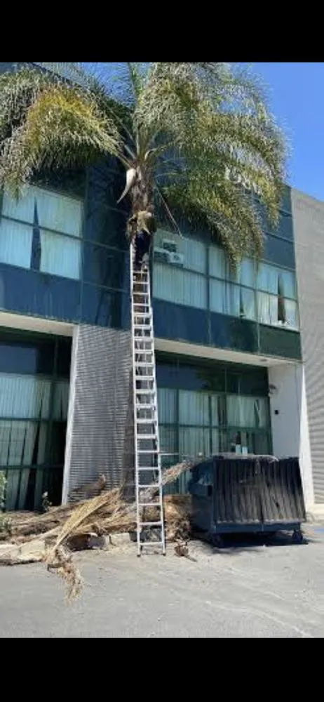 Local residential landscaping experts serving Inglewood, CA - Guerrero Landscaping