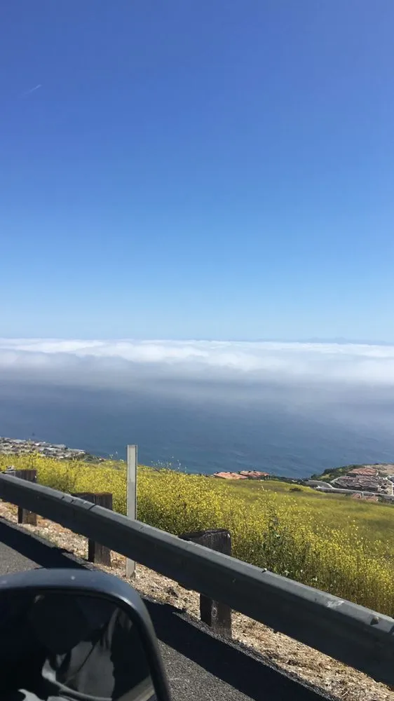 Affordable yard cleanup service in Inglewood, CA - Guerrero Landscaping