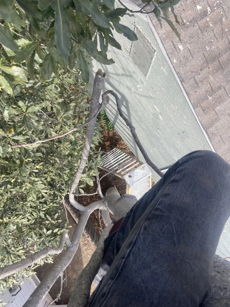 Professional lawn care service experts serving Inglewood, CA - Guerrero Landscaping