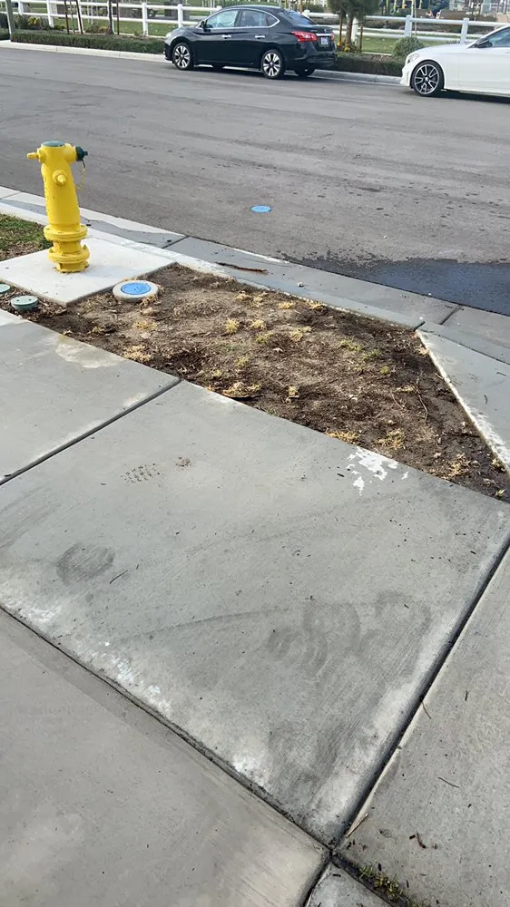 Custom yard maintenance in Inglewood, CA by Guerrero Landscaping