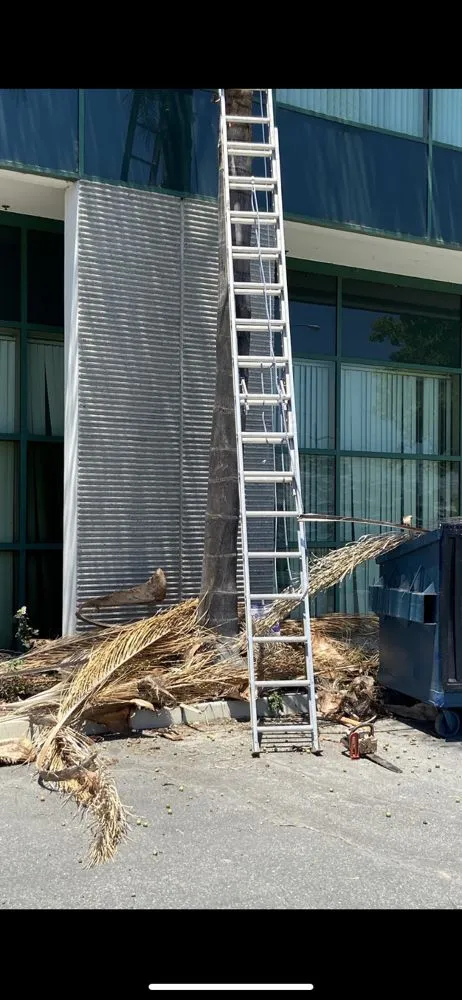 Professional yard cleanup service in Inglewood, CA - Guerrero Landscaping