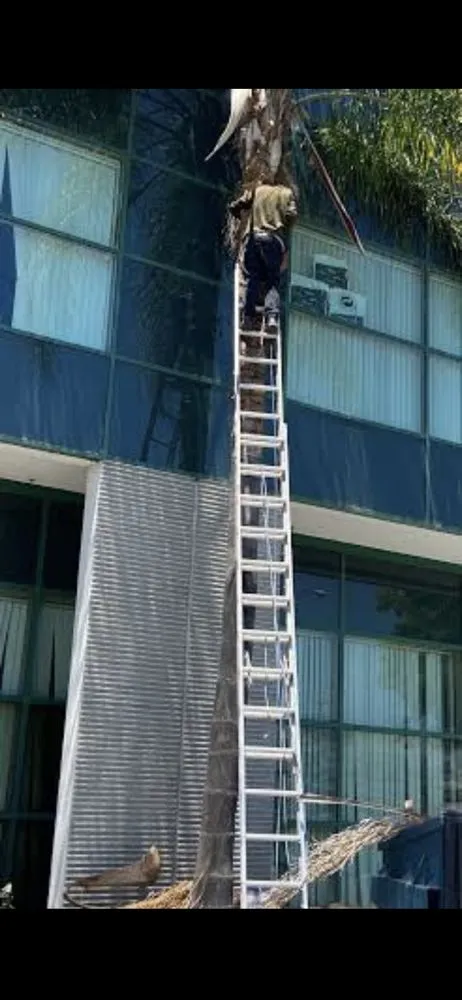 Affordable landscaping services in Inglewood, CA - Guerrero Landscaping