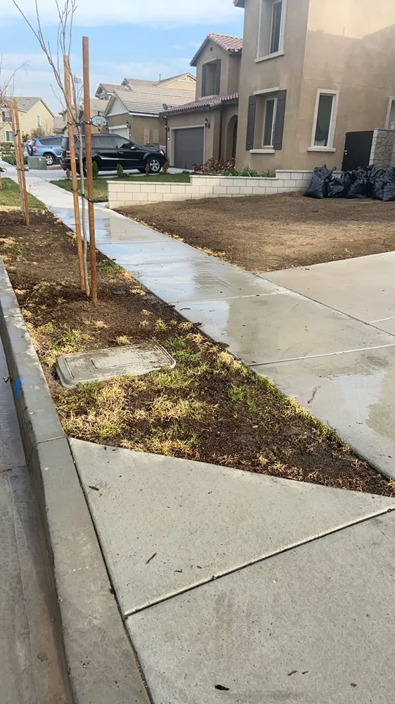 Affordable landscape design experts serving Inglewood, CA - Guerrero Landscaping