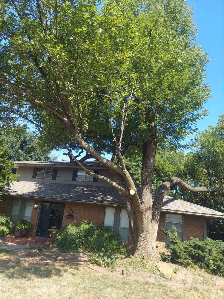 Top-rated lawn care service in Oklahoma City, OK by Guerrero Lawn Care