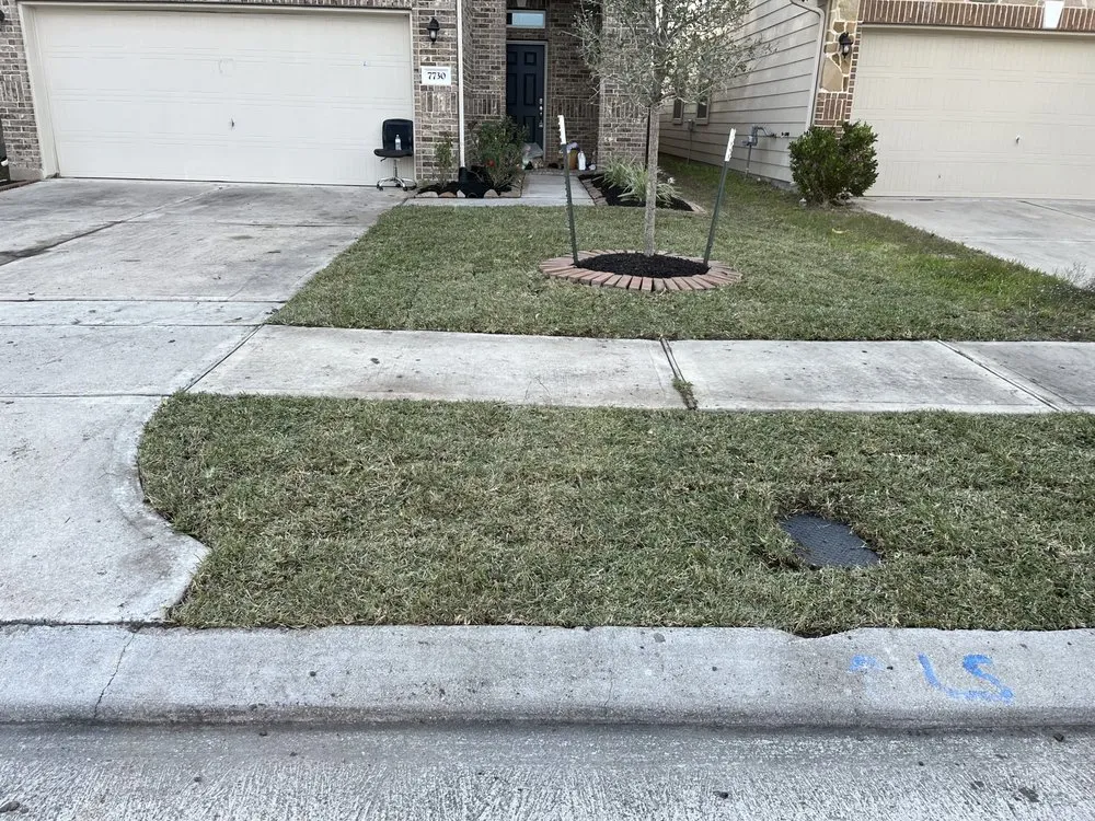 Professional landscape design in Stafford, TX - Guerrero lawn service