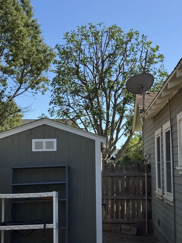 Reliable lawn care service for homes in Covina, CA by Guerrero Ruiz Gardening and Tree Service