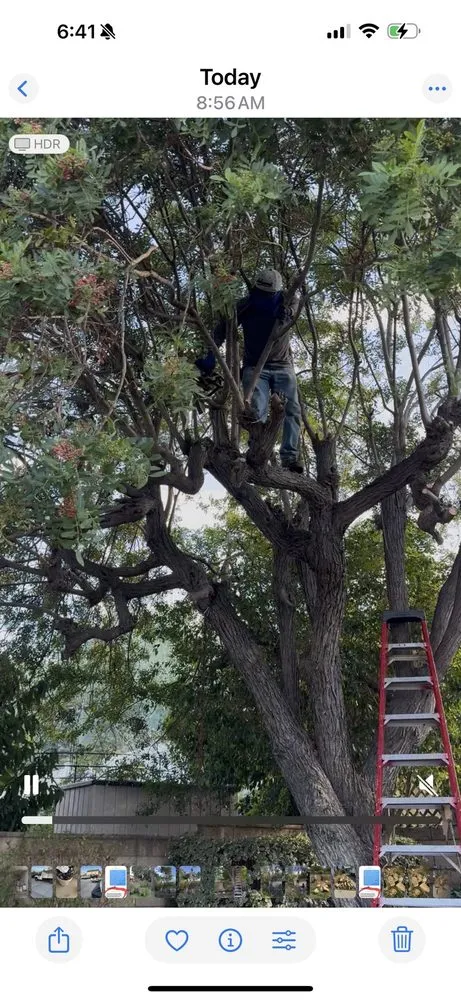 Local landscaping services in Covina, CA - Guerrero Ruiz Gardening and Tree Service