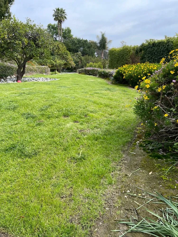 Expert lawn mowing service for outdoor upgrades across Covina, CA - Guerrero Ruiz Gardening and Tree Service